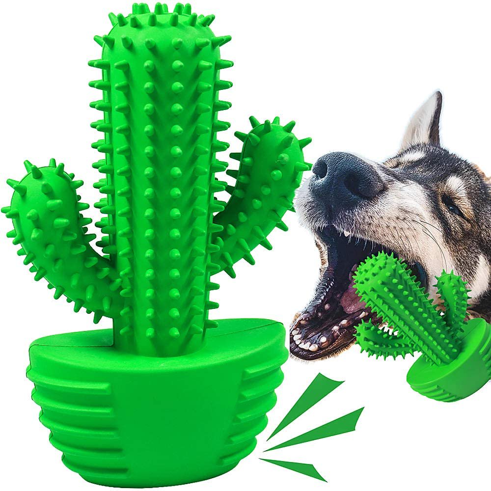 Interactive Chew Toothbrush Toy