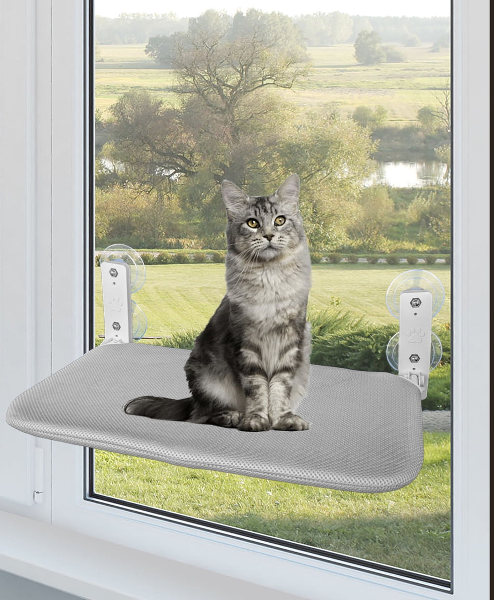 Cat Window Hammock Bed