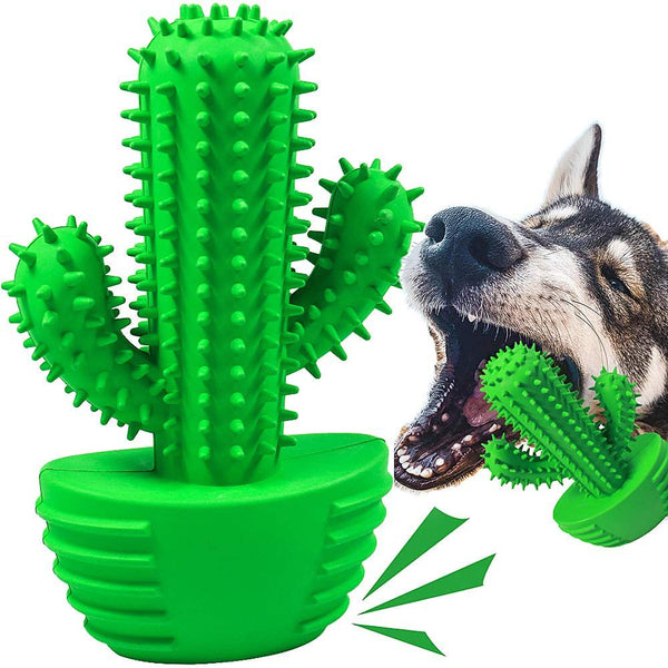 Interactive Chew Toothbrush Toy