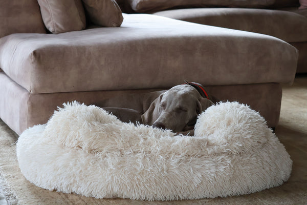 Calming Donut Dog Bed — Ultra-Soft Anti-Anxiety Cuddler