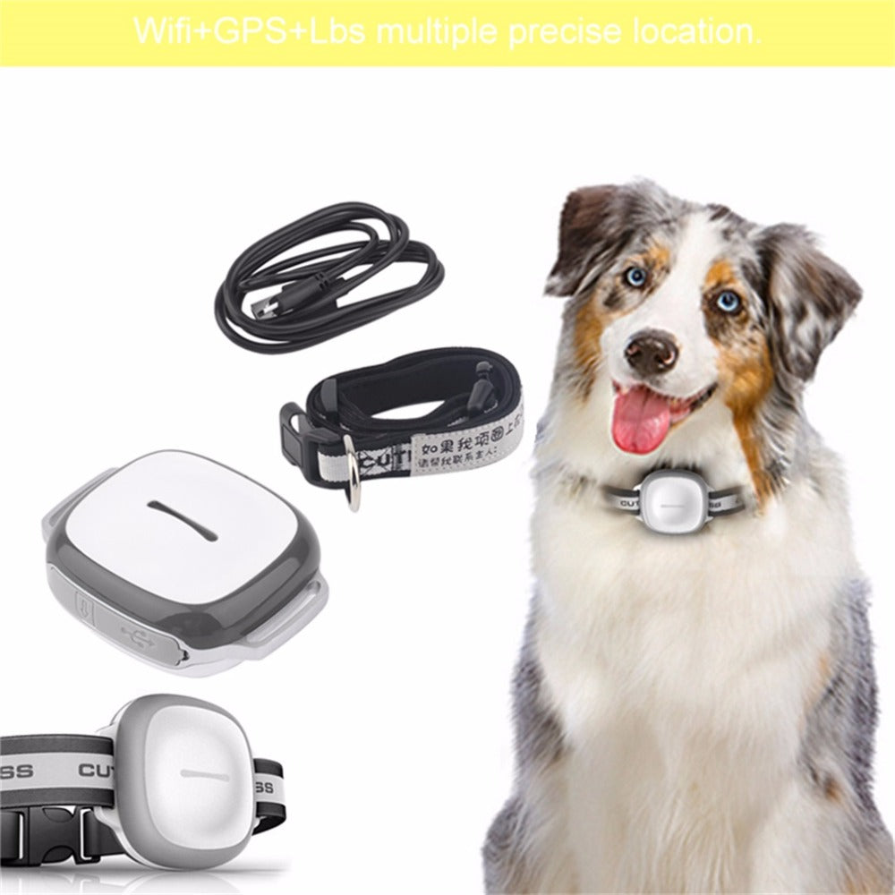 GPS Dog Tracker Tag